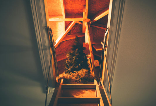 Looking up a ladder going into an attic